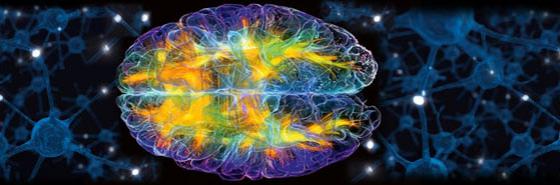 Cognitive Neuroscience